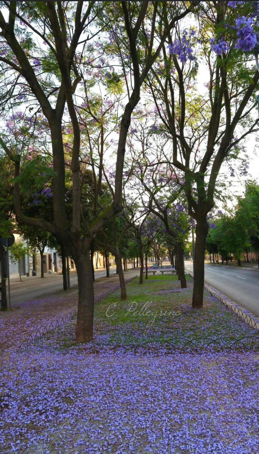 莱切Le Tre Civette住宿加早餐旅馆 外观 照片